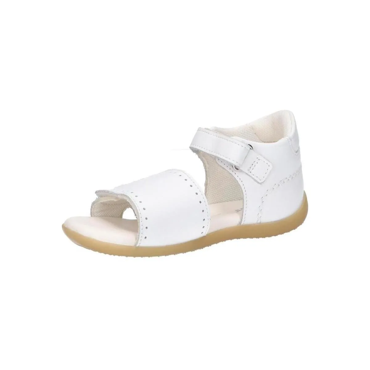 927220-10 BIGKRATCH COW SUNFLOWE